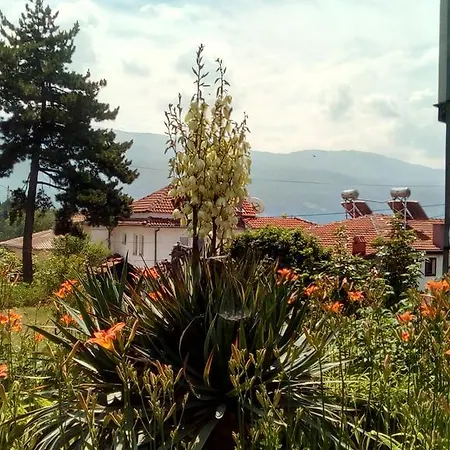 Elka Apartament Ochryda